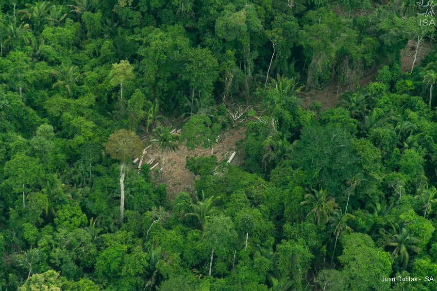 Área utilizada por madeireiros ilegais na TI Cachoeira Seca | Juan Doblas - ISA