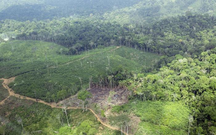 Área recentemente desmatada na Terra Indígena Cachoeira Seca do Iriri (PA), campeã do desmatamento entre 2012 e 2015 | Juan Doblas